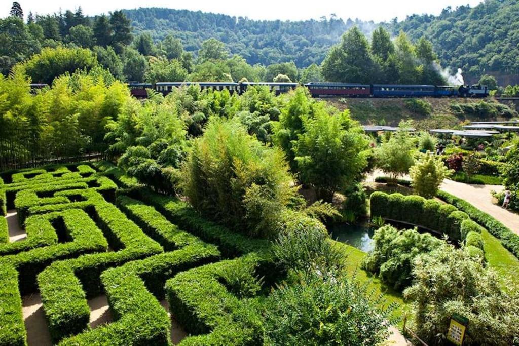 Gite Amour De Provence Châteaurenard Εξωτερικό φωτογραφία