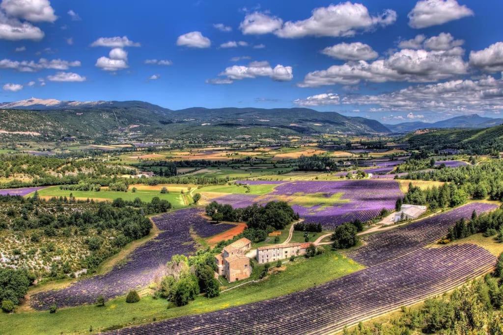 Gite Amour De Provence Châteaurenard Εξωτερικό φωτογραφία